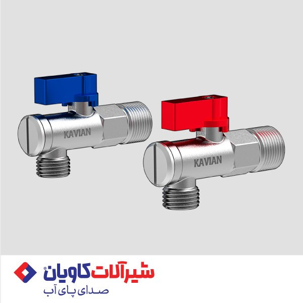 شیر پیسوار کاویان